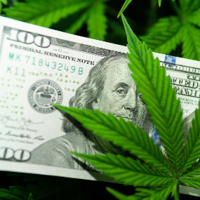 cannabis leaf sitting on top of a $100 bill